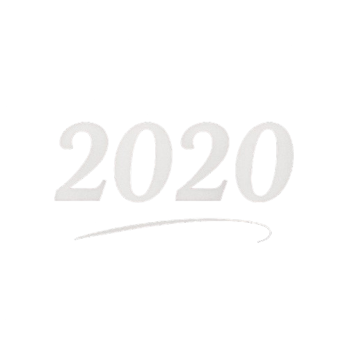 2020 Logo